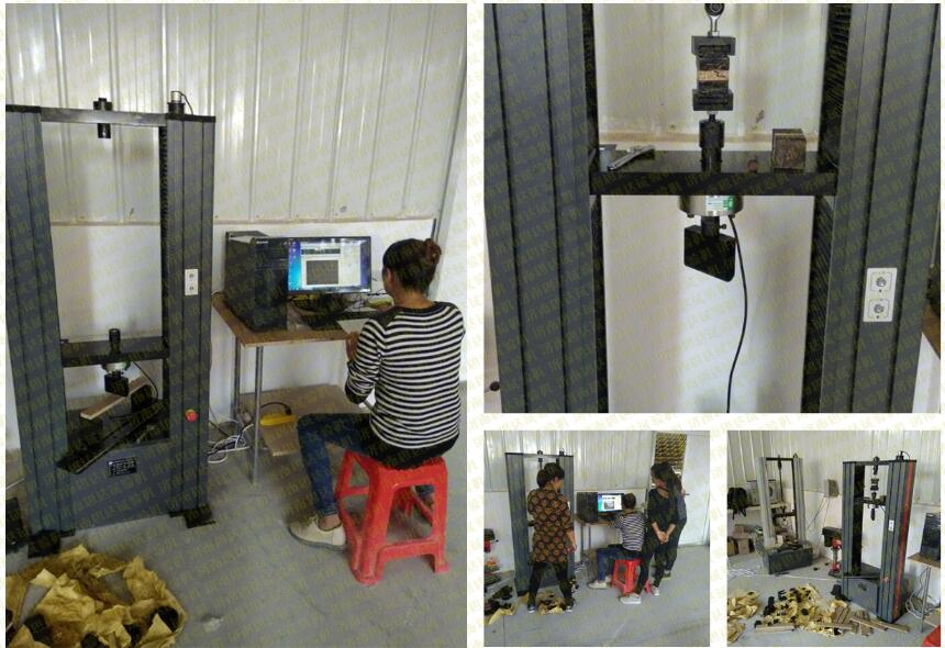 �����K������������f��ԇ�C�͑��F���D